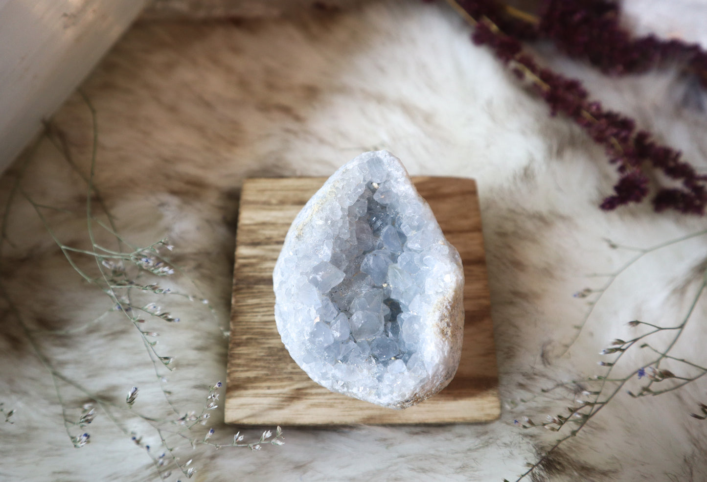 Blue Celestite Geode #2