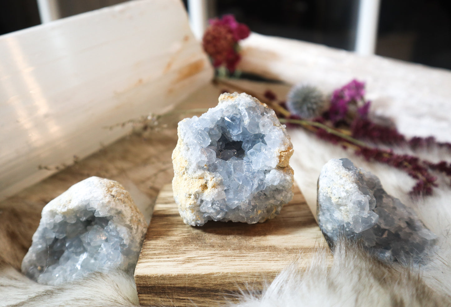 Blue Celestite Geode #1